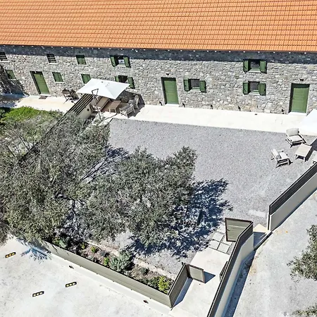 Twin Olive Rhodes City